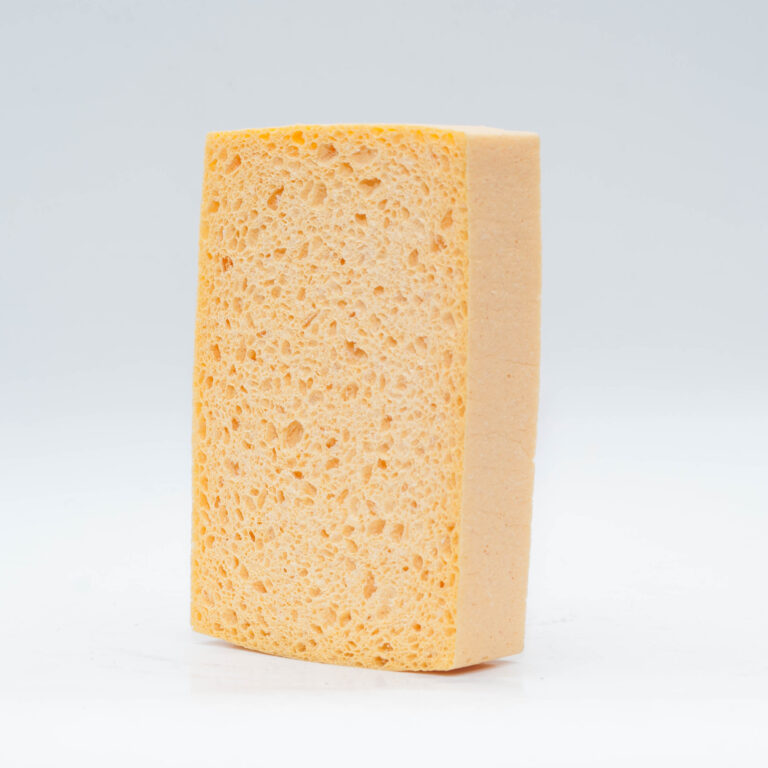 gąbka