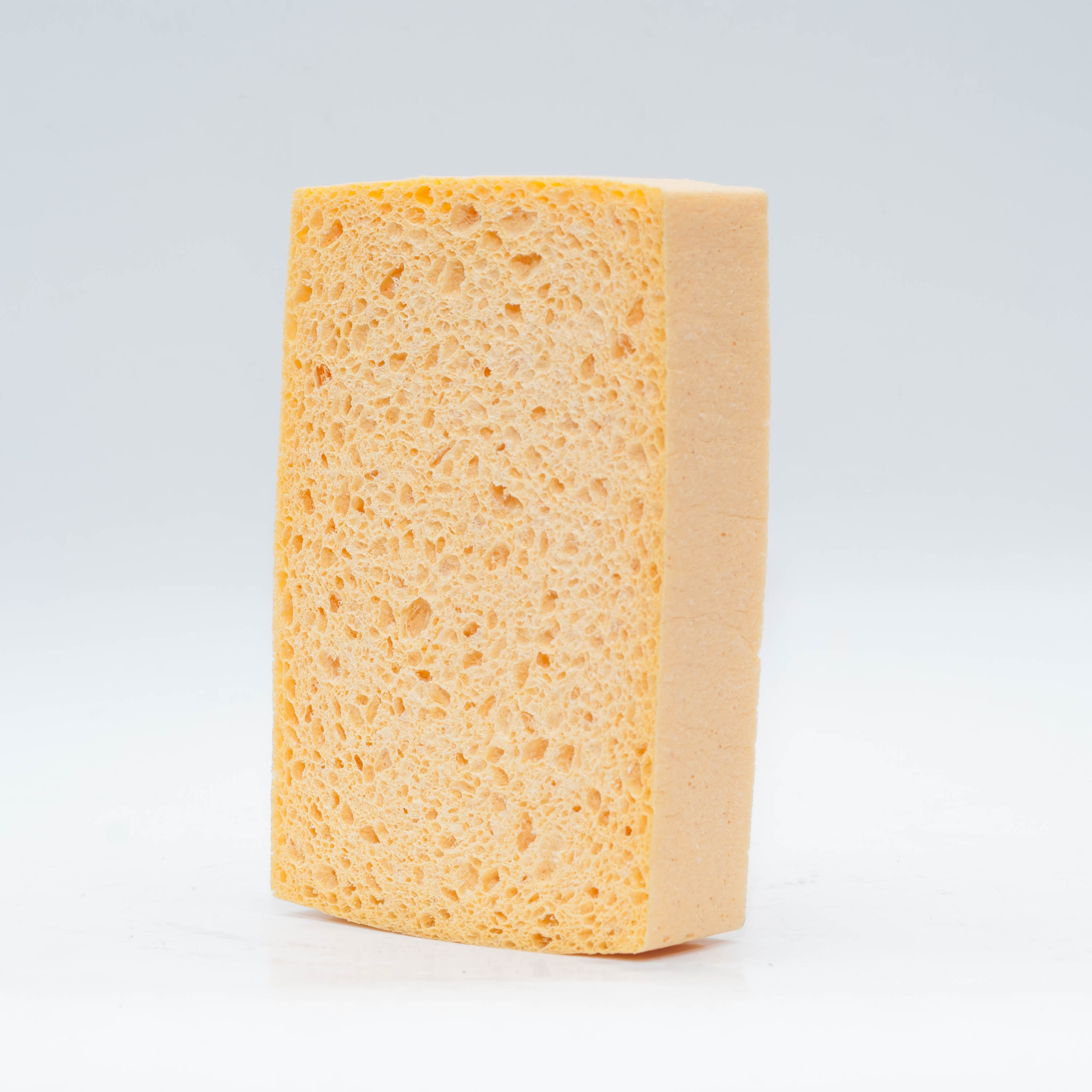 gąbka